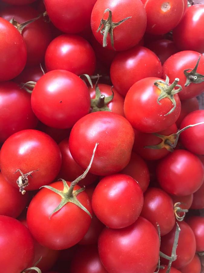 Tomates sverige_1